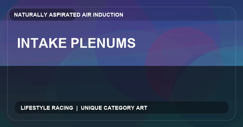 Intake Plenums